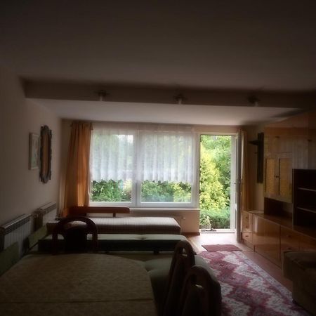 Przy Lesie Apartman Nowe Kültér fotó