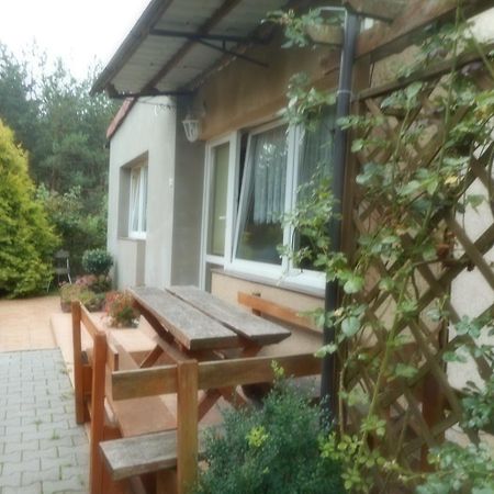 Przy Lesie Apartman Nowe Kültér fotó
