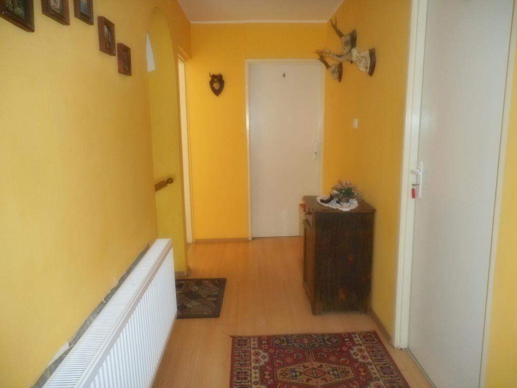 Przy Lesie Apartman Nowe Kültér fotó