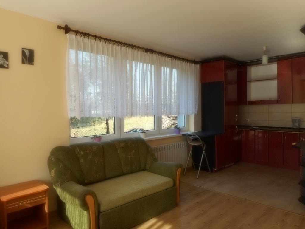 Przy Lesie Apartman Nowe Kültér fotó